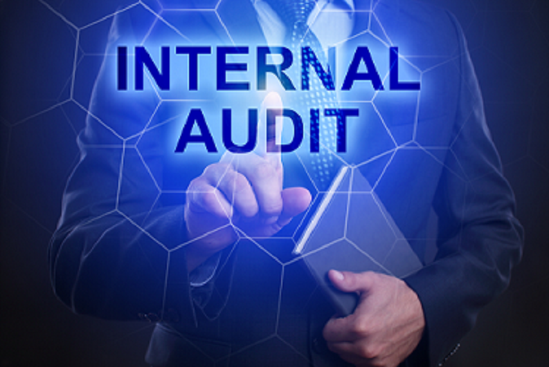 Internal Audits