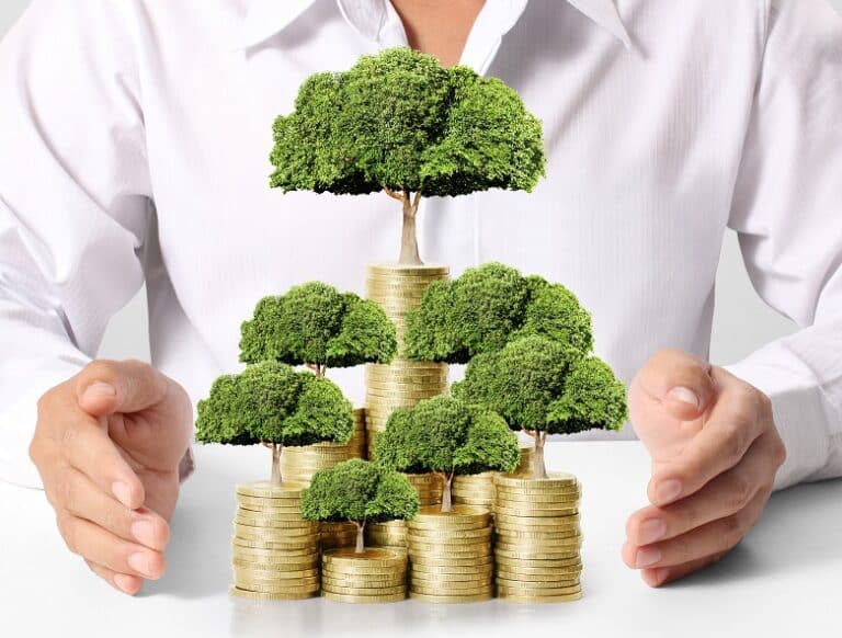 Money Tree
