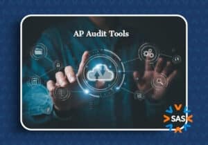 AP AUdit Tools